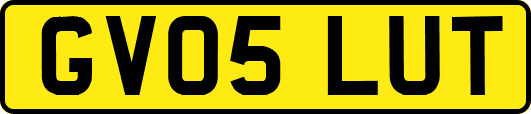 GV05LUT