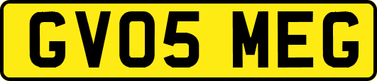 GV05MEG