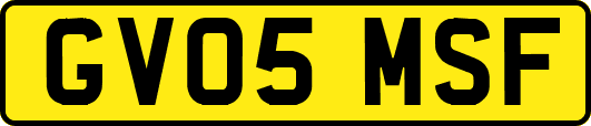 GV05MSF