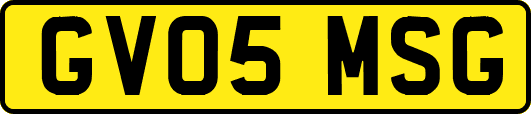 GV05MSG