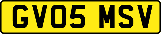GV05MSV