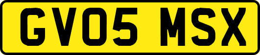 GV05MSX