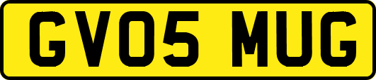 GV05MUG