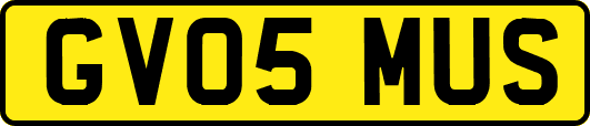 GV05MUS