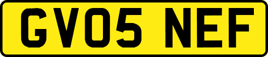 GV05NEF