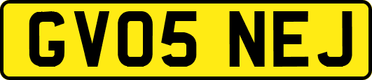 GV05NEJ