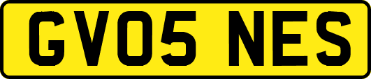 GV05NES