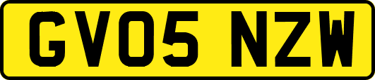 GV05NZW