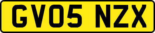 GV05NZX