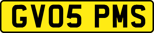 GV05PMS