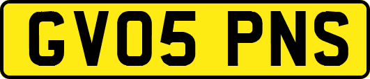 GV05PNS