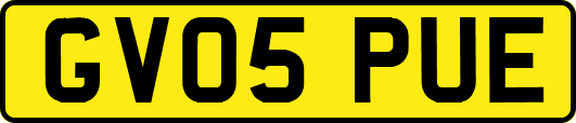 GV05PUE
