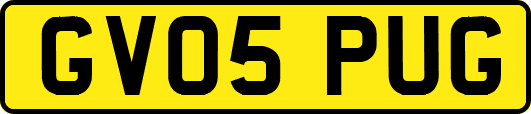 GV05PUG