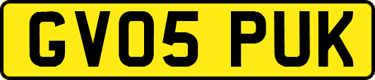 GV05PUK