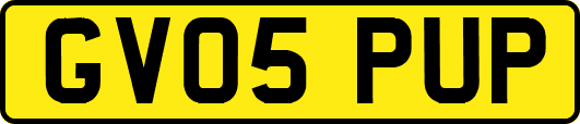 GV05PUP