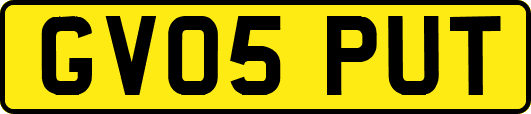 GV05PUT