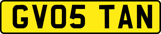 GV05TAN