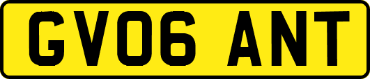 GV06ANT