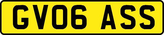 GV06ASS