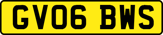 GV06BWS