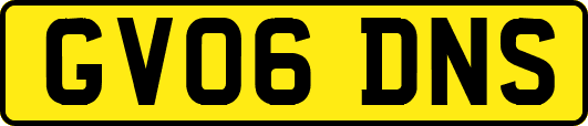 GV06DNS