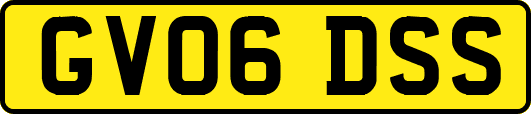GV06DSS