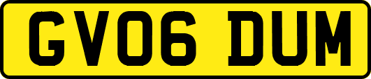 GV06DUM