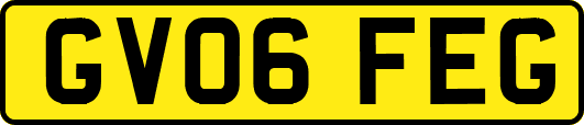 GV06FEG
