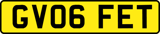 GV06FET