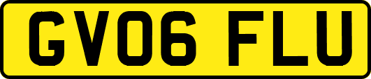 GV06FLU