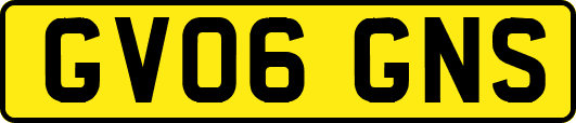 GV06GNS