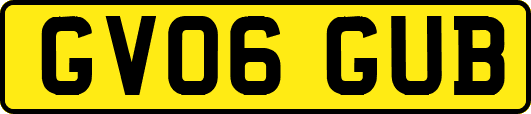 GV06GUB