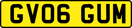 GV06GUM
