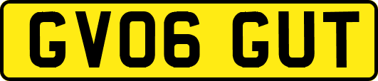 GV06GUT