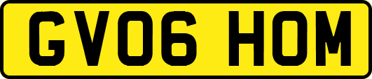 GV06HOM
