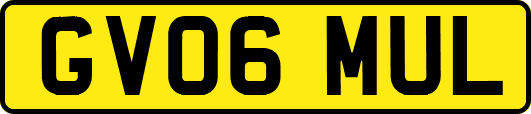 GV06MUL