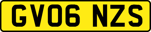 GV06NZS