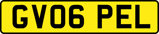 GV06PEL