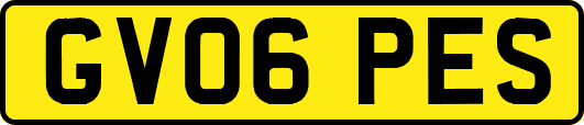GV06PES