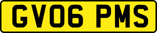 GV06PMS