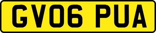 GV06PUA