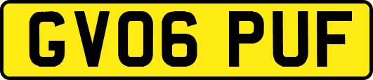 GV06PUF