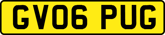 GV06PUG