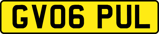 GV06PUL