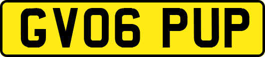 GV06PUP