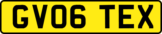 GV06TEX