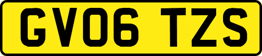 GV06TZS