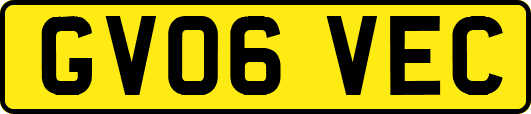 GV06VEC