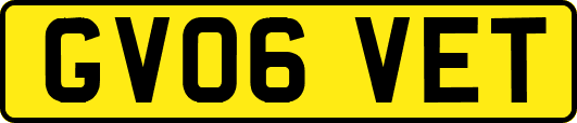 GV06VET