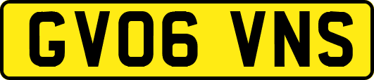 GV06VNS